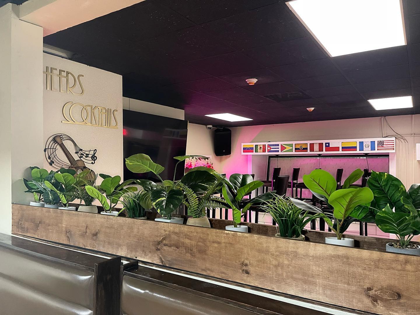 Plant-lined booth view with Latin American flags above the bar at Caribe